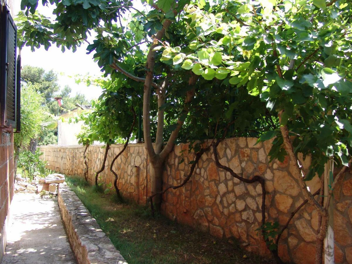 Villa Manuela Ližnjan Exterior foto